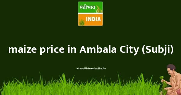 maize price
